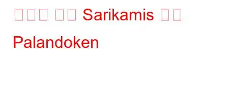 스키를 위한 Sarikamis 또는 Palandoken